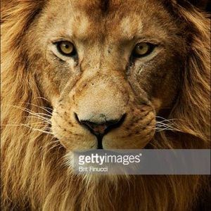 Meet your Posher, Mario